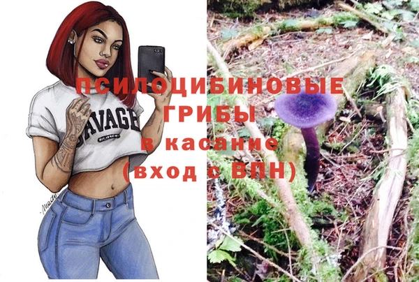 крисы Алзамай