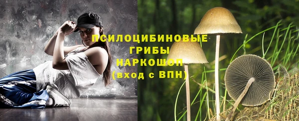 индика Абинск