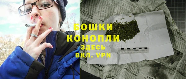 шишки Алексеевка