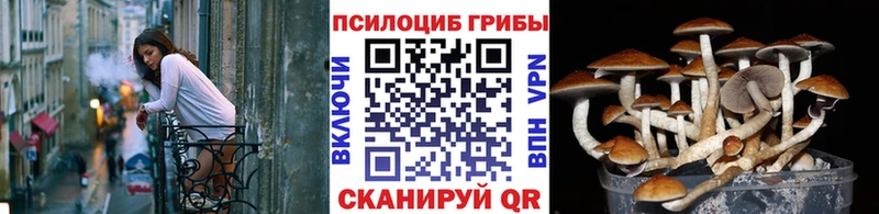 Псилоцибиновые грибы MAGIC MUSHROOMS Козловка